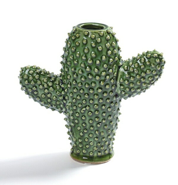 SERAX(セラックス) サボテンベース D7.5のサムネイル