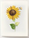 Quilling Card(NCOJ[h) O[eBOJ[h Sunflower@Ђ܂