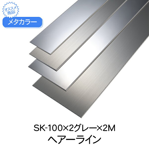 メタカラー 積水樹脂 セキスイ SK-100×2グレー 2m