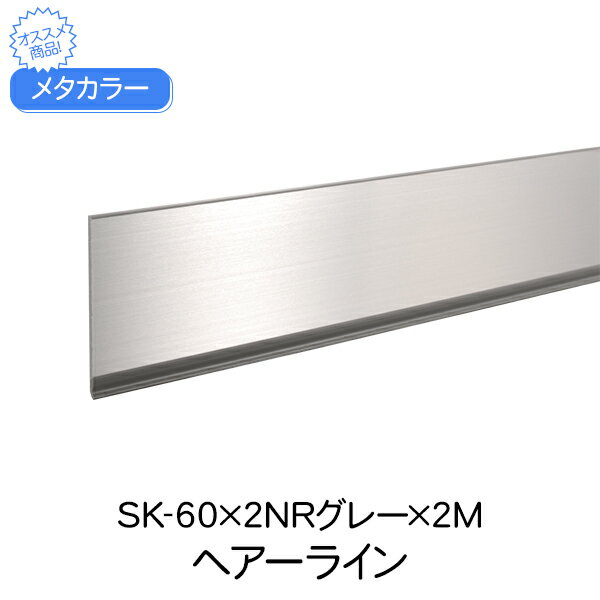 メタカラー 積水樹脂 セキスイ SK-60×2NRグレー 2