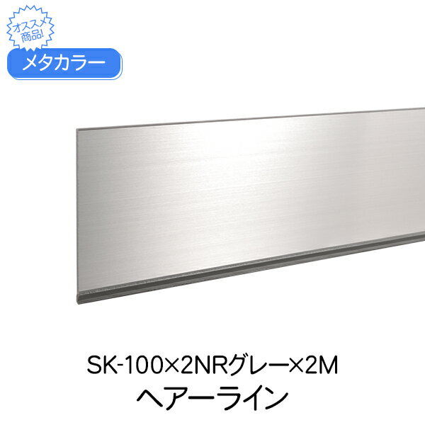 メタカラー 積水樹脂 セキスイ SK-100×2NRグレー 