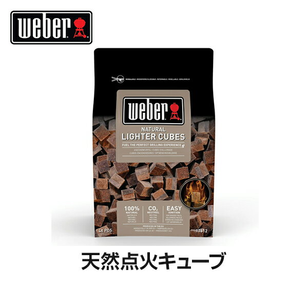 【日本正規販売店】Weber(ウェーバー