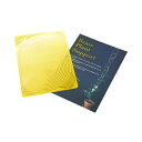 botanopia(ボタノピア) つる用サポート ブラス 1個植物支柱 植物用支柱 植物サポート 園芸支柱 植物用くい 杭 誘引 支え 支柱立て チェーン チェーン支柱 長さ調整 つる性植物 園芸 真鍮 ゴールド ガーデニング用品 インテリア 海外雑貨