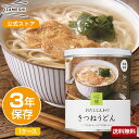 【賞味期限2025年6月】IZAMESHI(イザメシ) きつねうどん 1ケース 6個入り (長期保存食/3年保存/麺)