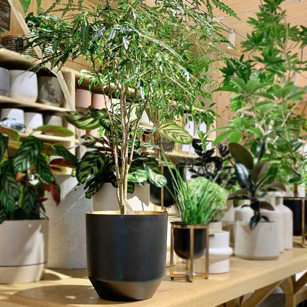 楽天市場】植木鉢・プランター(素材(ガーデニング・DIY用品 楽天市場】植木鉢・プランター(素材(ガーデニング・DIY用品