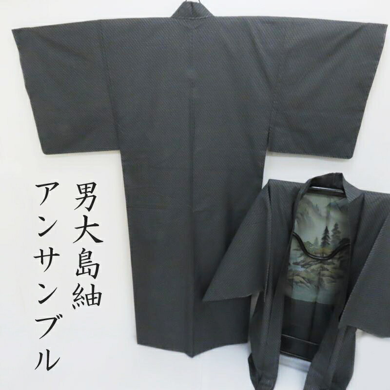 男大島紬 アンサンブル 男着物 大臣指定工芸品 本場奄美大島紬 純絹手織り 平田守宏 純絹手織り 御仕立上(3375)