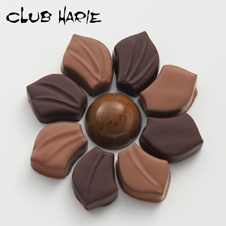 【公式 クラブハリエ】ラコロールジョンヌ2024ショコラアソートセレクション 9個入 お菓子 チョコレート チョコ ボンボンショコラ 洋菓子 たねや CLUBHARIE 3