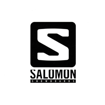 19-20 SALOMON WHIPSTAR/SALOMON ブーツ/サロモン ブーツ/SALOMON スノーボード/サロモン スノーボード/キッズ/ジュニア/子供/こども/SALOMON 2016 2017/SALOMON サロモン