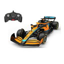 R/C CONTROL 1/18 スケール マクラーレン F1 チーム MCL36 ランド ノリス 2022 F1 ラジコン