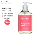 ディープスティープ ハンドウォッシュ パッションフルーツ グアバ 520ml (17.6floz) Deep Steep Hand Wash - Passion Fruit Guava ハンドソープ オリーブオイル アルガンオイル アロエベラ