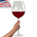 【全品対象・常時2個300円・3個800円・4個1000円OFFクーポン】【アメリカコストコ品】ミカサ 特大ワイングラス 2個セット Mikasa Extra ...
