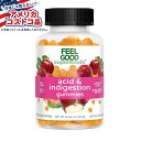 【全品対象・常時2個300円・3個800円・4個1000円OFFクーポン】【アメリカコストコ品】フィールグッド アシッド&インダイジェスチョン グミ120個 F...