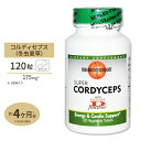冬虫夏草 175mg キノコ 茸 ヘルスケア タブレット Mushroom wisdom マッシュルームウィズダム【お取り寄せ商品】【合わせて買いたい】