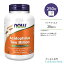 ݤǸдĶۥʥա ɥե륹 20 250γ ٥ץ NOW Foods Acidophilus Two Billion 250Veg Capsules