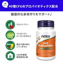 【乳酸菌で口腔環境ケア】ナウフーズ 4×6 アシドフィルス ベジカプセル 60粒 NOW Foods Acidophilus 4x6 Veg Capsules 乳酸菌 ビフィズス菌 2