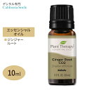 【空間の香りに】プラントセラピー 100%ピュア エッセンシャルオイル ジンジャー 10ml (1 / 3fl oz) Plant Therapy Ginger Root CO2 Essential Oil 100% Pure 精油 天然 アロマ