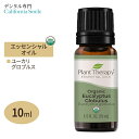 【空間の香りに】プラントセラピー 100%ピュア オーガニック エッセンシャルオイル ユーカリグロブルス 10ml (1 / 3fl oz) Plant Therapy Organic Eucalyptus Globulus Essential Oil 100% Pure 有機 精油 天然 アロマ