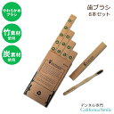 【バンブー歯ブラシ】バンブーズルド 炭 竹 歯ブラシ 大人用 ソフト エコ 8本セット Bamboozled Bamboo Toothbrush Charcoal Infused BPA Free Soft Bristles