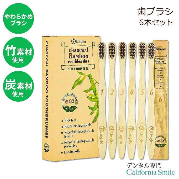 yuVzMg i``R[ou[uV 6{ Lingito 6-Pack Natural Charcoal Bamboo Toothbrushes \tg Y | 