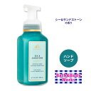 y􂢂ɁzoX&{fB[NX V[&ThXg[ WFg&N[tH[~Onh\[v 259ml (8.75floz) Bath&Body Works Sea & Sandstone Gentle&Clean Foaming Hand Soap Ƃ r^~E 