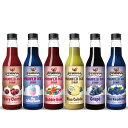 【全品対象・常時2個300円・3個800円・4個1000円OFFクーポン】シルビア かき氷シロップ サマーミックス 6本セット バラエティパック Syruvia...