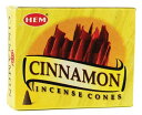 Cinnamon コーンインセンス (HEM)10個入り ※ 魔術用品 儀式用品 おまじないグッズ 占いなど 【クーポン対象】【39ショップ】