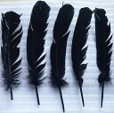 【訳あり】 羽ペン 黒 ※ 魔術用品 儀式用品 おまじないグッズ 占いなど 【クーポン対象】【39ショップ】
