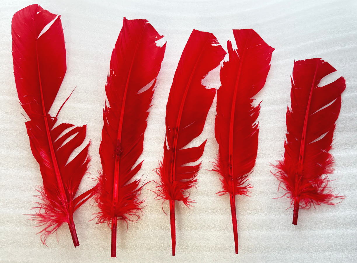 樂天商城 - 羽ペン 赤 【訳あり】　　※ 魔術用品 儀式用品 おまじないグッズ 占いなど 【クーポン対象】【39ショップ】