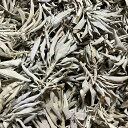 ★☆★浄化アイテム★☆★ ホワイトセージ約60g  ※ 天然石やパワーストーン、お部屋や空間の浄化に 【クーポン対象】【39ショップ】