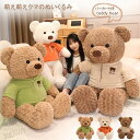 クマのぬいぐるみ テディベア くま ぬいぐるみ 服 パーカー付き ベア 手触りふわふわ 子供 女の子 ふわふわ 子供部屋 バースデー インテリア ギフト プレゼント 誕生日 お祝い 贈り物 クリスマスプレゼント
