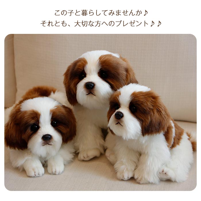 ぬいぐるみ 犬 シーズー 犬 リアル 犬 トイプードル グッズ 動物 いぬ アニマル いぬわんわん かわいい 手触りふわふわ おもちゃ 置物 店飾り 友達 子供 クリスマス プレゼント お誕生日 贈り物 24cm