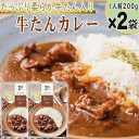 カレー 牛たんカレー ゴロッと柔らかい牛たんがたっぷり 1人前200g×2袋 計400g 4分の1の50gが牛たん レトルト 仙台名物 牛たん 牛タン メール便 NP 送料無料