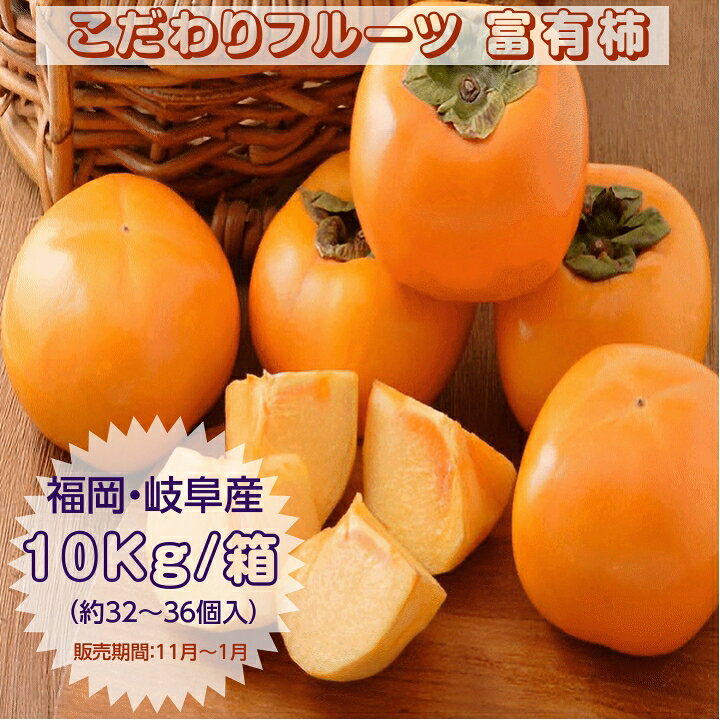 ■こだわりフルーツ 富有柿 化粧箱入り ■産地:岐阜・福岡県産 ■内容量：10Kg/箱（約32〜36個入） ・販売期間：11月〜1月 　一家団欒のひと時に！ ・販売期間：11月〜1月 ■賞味期限 お早めにお召し上がり下さい ■保存方法 常温 ■配送 宅配便 ■糖度　平均糖度は15〜16度 ■送料　無料 ※沖縄県・九州地域・北海道・離島等につては、追加料金が掛かります。 （別途ご連絡申し上げます） ■栽培方法　特別栽培 ●配送について 配送はヤマト便＆佐川急便でお届けいたします。 主な特徴 ・分類・味わい：自然に渋みが抜ける完全甘柿で、平均糖度は15〜16度と高く、濃厚な甘みとたっぷりの果汁が特徴です。 ・見た目・形：丸みを帯びた四角い形で、重さは1個あたり230g〜280gほどの大ぶりなサイズです。 果皮はツヤのある鮮やかな機紅色（朱色）をしています。 ・食感：果肉はきめ細やかで緻密。 採れたてはサクサクとした心地よい歯ごたえがあり、追熟が進むととろけるような柔らかい食感に変化します。こだわりフルーツの富有柿は、岐阜・福岡県産の高品質な甘柿です。 自然に渋みが抜け、平均糖度15〜16度の濃厚な甘みとたっぷりの果汁が特徴です。 採れたてはサクサクとした心地よい歯ごたえを楽しめ、追熟が進むととろけるような柔らかい食感に変化します。 10kgの箱に詰められたこの商品は、家庭用としても贈答用としても最適です。 季節の味わいをぜひお楽しみください。
