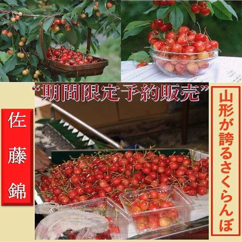 さくらんぼ 期間限定予約販売 佐藤錦 ご家庭用 3Kg /箱　M〜Lサイズ混合　山形県産...