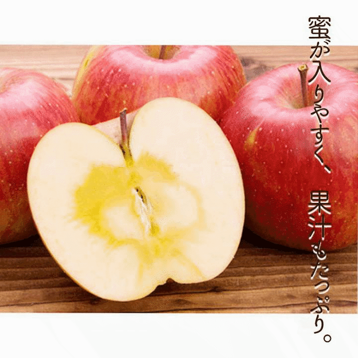 りんご 果物 青森県津軽産りんご サンふじ 優品 10Kg/箱【送料無料】
