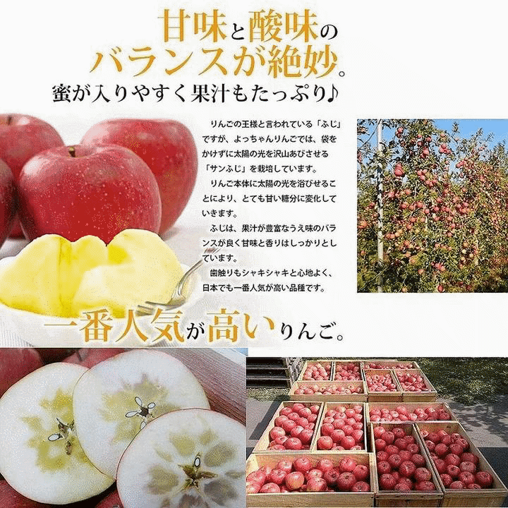 りんご 果物 青森県津軽産りんご【葉とらずサンふじ】優品 5Kg/箱【送料無料】