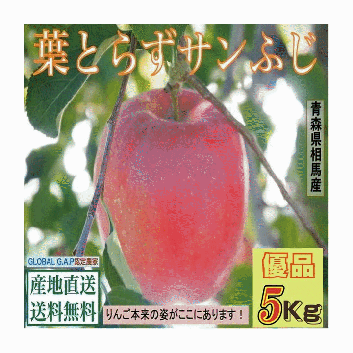 早期予約販売りんご果物青森県津軽産...