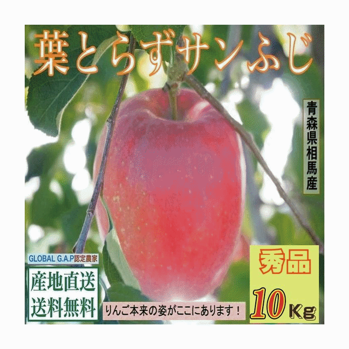 早期予約販売りんご果物青森県津軽産...