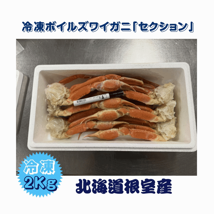 冷凍ボイル本ズワイ脚（足）セクションとは、活きた本ズワイガニの甲羅を取り除き、足と肩の部分をセットにしてボイル（加熱）してから急速冷凍した商品のことです。 ◆商　品：ずわいセクション ◆内容量：冷凍ボイル本ズワイ脚（足）セクション　2kg/箱 ◆原材料名：ズワイカニ（北海道根室産）、食塩 ◆産　地：北海道/ロシア産 ◆賞味期限：解凍後、冷蔵保存で3日間 賞味期限は保存状態、季節によって異なります。 　あくまで冷蔵状態での目安となります。 　賞味期限にかかわらず、解凍後はお早めにお召しあがりください。 ◆保存方法：要冷凍−18゜以下 ◆お届け日：通常4−7後発送になります。 　着日指定は備考欄まで。 　※天候や配送状況により1週間程度かかる場合もあります。 ■配送：クール便　冷凍便にてお届けします。 ■送料：無料 ※沖縄県・九州地域・北海道・離島等につては、追加料金が掛かります。 ■特徴と魅力 ・そのまま食べられる：すでにボイルしてあるため、解凍するだけで殻をむいてそのままお召し上がりいただけます。 ・料理に使いやすい：カニ鍋、焼きガニ、バター焼き、サラダやチャーハンなど幅広い料理に使えます。 ・ボリュームとコスパ：甲羅がない分、足と肩肉（セクション）がしっかり詰まっており、ご家庭用やギフトで人気があります。 解凍方法：食べる分だけ取り出し、乾燥しないようビニール袋に入れてから、冷蔵庫での自然解凍または流水解凍（半解凍が目安）がおすすめです。 注意点：ボイル済みのため、加熱しすぎると身が縮んでパサついてしまうので、鍋に入れる場合も温める程度に短時間で仕上げるのがポイントです。北海道根室産の「冷凍ボイル本ズワイ脚」は、プリプリとした身入りが魅力のズワイガニを絶妙な塩加減でボイルし、旨みを逃さず仕上げました。 解凍するだけでそのまま楽しめる手軽さがあり、カニ鍋や焼きガニ、バター焼きなど多様な料理に最適です。 2kgの大容量で、家族や友人との集まりにもぴったり。 産地直送の新鮮な味わいをぜひご堪能ください。