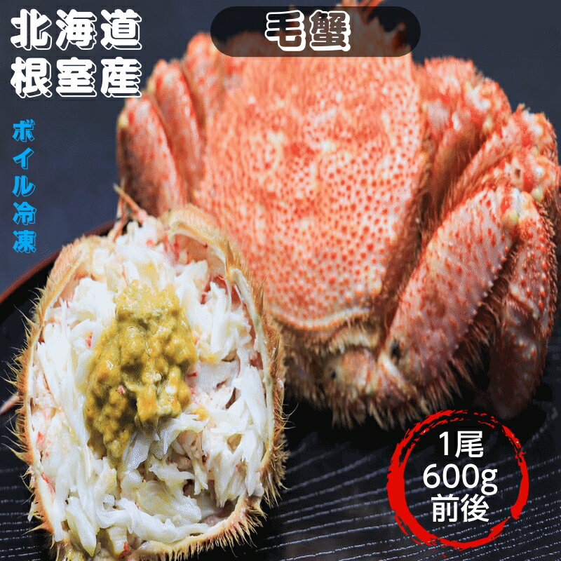毛蟹 600g前後 ボイル冷凍 北海道根室産 送料無料 産地直送
