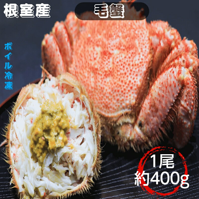 毛蟹 400g前後 ボイル冷凍 北海道根室産 送料無料 産地直送 一人前