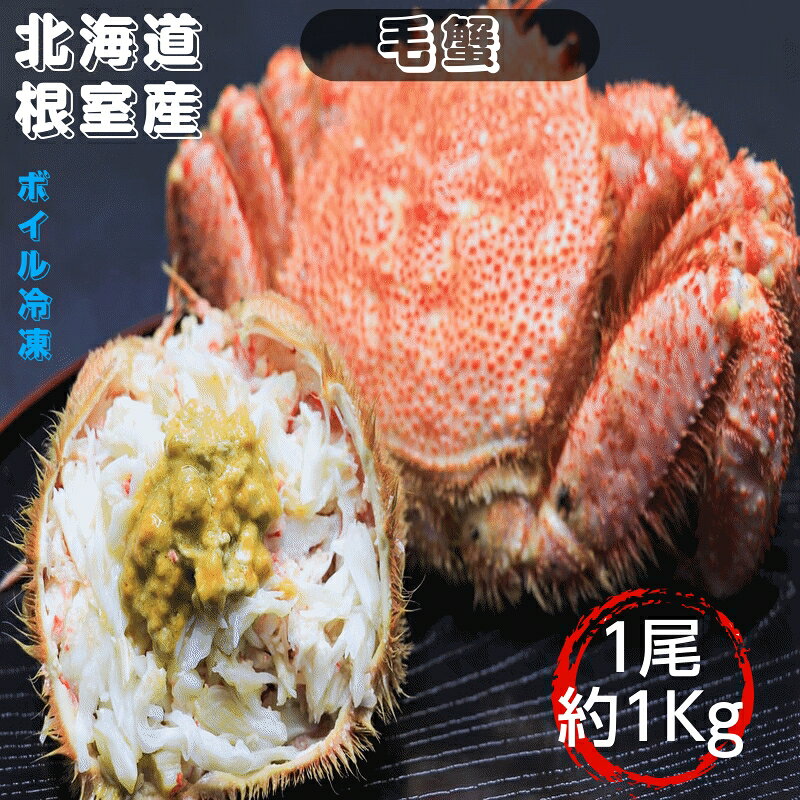 毛蟹 1Kg前後 ボイル冷凍 北海道根室産 送料無料 産地直送 2人前