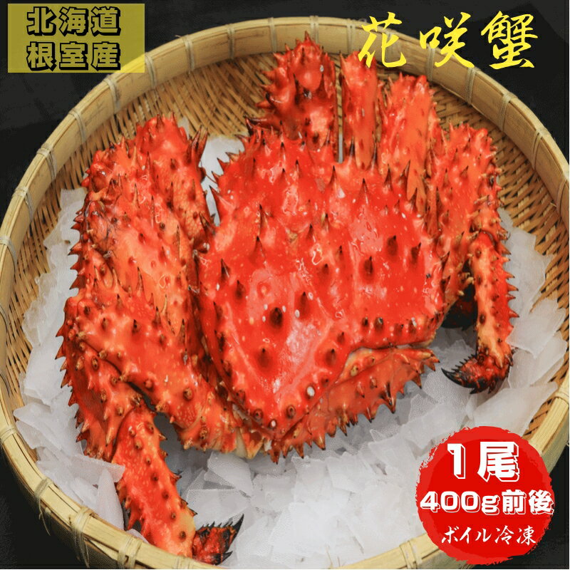 花咲蟹 400g前後 ボイル冷凍 北海道根室産 送料無料 産地直送 一人前