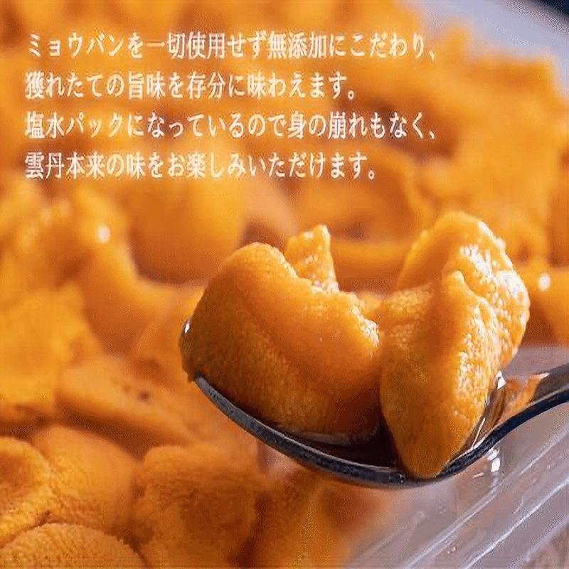 うに 塩水うに A品 冷蔵 北海道根室産 塩水エゾバフンうに100g×6Pセット 海産物 送...