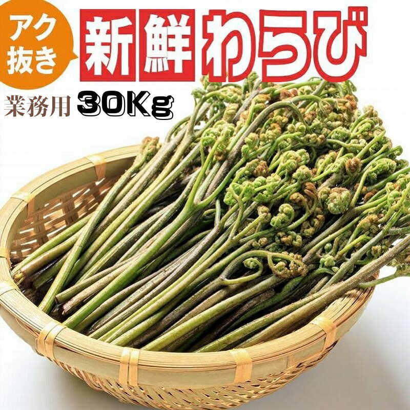 予約受付中 天然山菜 天然生わらび あく抜き/30Kg 業務用 自然の恵み 送料無料