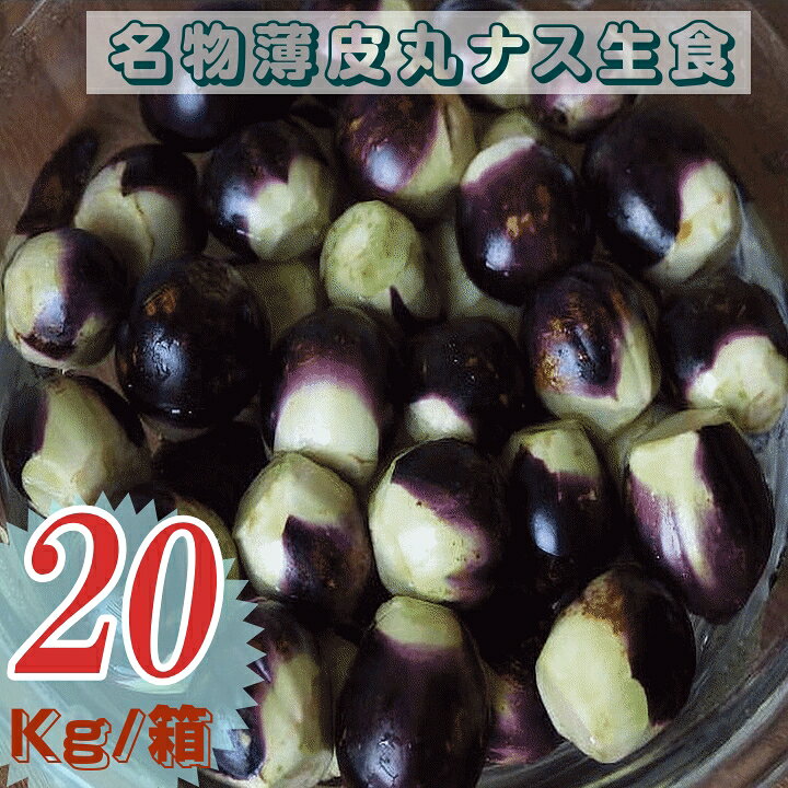 茄子 - 大評判 野菜 ナス 早期予約 山形県飯豊町産 名物薄皮丸茄子 生食 業務用 20Kg /袋 産地直送 送料無料