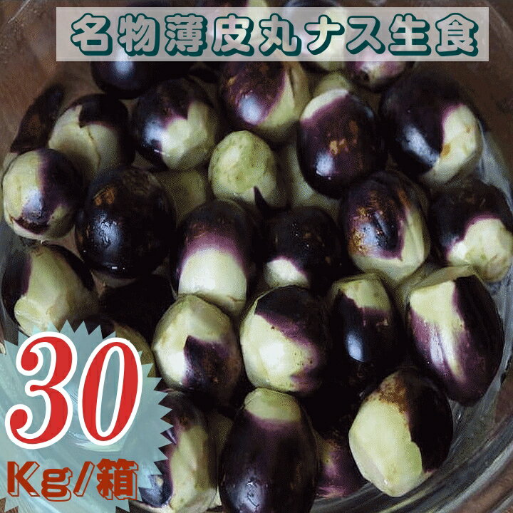 大評判 野菜 ナス 早期予約 山形県飯豊町産 名物薄皮丸茄子 生食 業務用 30Kg /袋 ...
