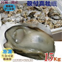 牡蠣 三陸産雄鹿半島 生食可能 殻付き冷凍牡蠣 15kg /箱 無選別 送料無料
