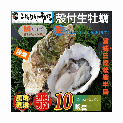 牡蠣 宮城県三陸・牡鹿半島産 殻付き生牡蠣 業務用 Mサイズ 10kg /箱 業務用 産地直送 送料無料 牡蠣 宮城県三陸・牡鹿半島産 殻付き生牡蠣 業務用 Mサイズ 10kg /箱 業務用 産地直送 送料無料
