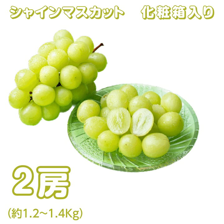 ■シャインマスカット 化粧箱入り ■産地:長野・山梨県産 ■内容量は2房 （約1.2〜1.4kg） ・販売期間：10月〜2月 　箱を開けた瞬間、香る贅沢に大切な方へ贈る、一粒のジュエリー!! ■賞味期限 お早めにお召し上がり下さい ■保存方法 冷蔵 ■配送 冷蔵宅配便 ■糖度　20度前後 ■送料　無料 ※沖縄県・九州地域・北海道・離島等につては、追加料金が掛かります。 （別途ご連絡申し上げます） ■栽培方法　特別栽培 ●配送について 配送はヤマト便＆佐川急便でお届けいたします。 エメラルドグリーンに輝く美しい果粒は大粒で、見た目にも華やかなシャインマスカット。 最大の魅力は、パリッとした果皮ごと食べられること。 渋みや種もほとんどなく、食べやすさは抜群です。 お子様からご年配の方まで安心してお召し上がりいただけます。 贈答用・ギフトにも、ご家庭でのご褒美フルーツにもぴったりの逸品。 皮ごとパクッと、あふれる甘み世代を越えて笑顔を届けるシャインマスカット。シャインマスカットは、長野・山梨県産の最高級ブドウで、贈答用にも最適な化粧箱入りの逸品です。 このフルーツの最大の魅力は、パリッとした果皮をそのまま食べられる点にあります。 種が無く、甘みが豊かで芳醇な香りが特徴です。 お子様からご年配の方まで安心してお召し上がりいただけるため、特別な日のご褒美フルーツとしてもぴったりです。 贈り物としても、ご家庭での楽しみとしても、特別なひとときを演出します。